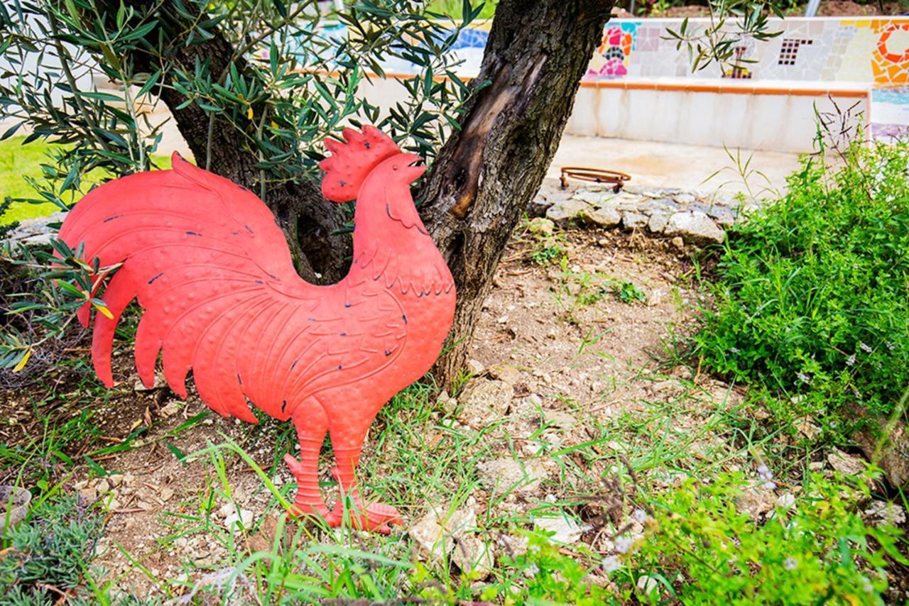 Gallo Fino Рикаді Екстер'єр фото